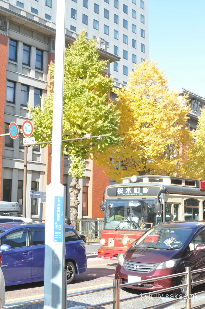 【さかぽんの冒険】こころキラメク冬の横浜の画像_1