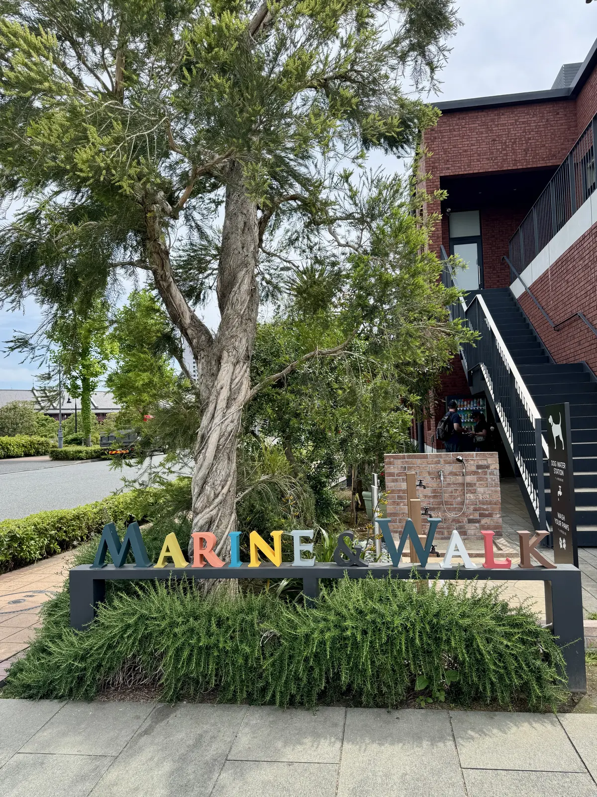 最高の休日！ユニクロのワイドストレートジの画像_1