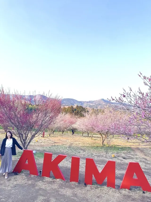 梅さんぽ♪春の香りに包まれた紅白梅が美しの画像_2