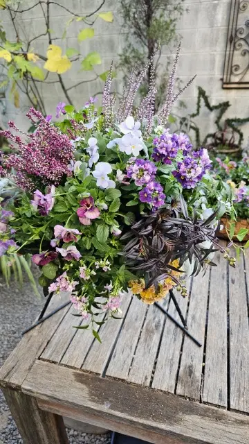 パンジーの寄せ植えリース作りの画像_9