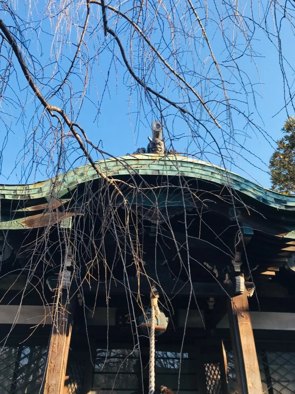 幸せを呼ぶ《七福神巡り》の画像_9