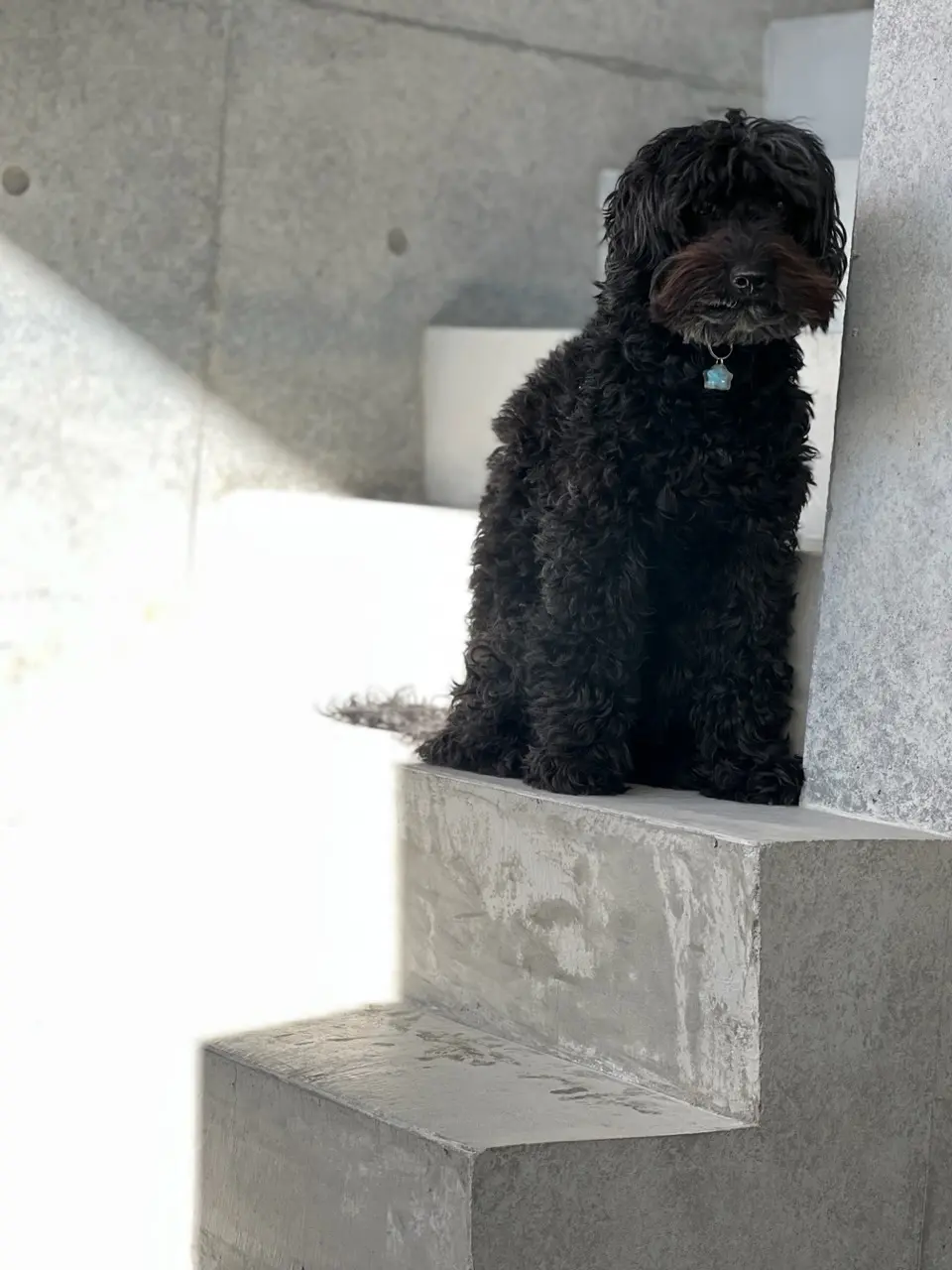 2022年 エクラでの思い出の画像_4