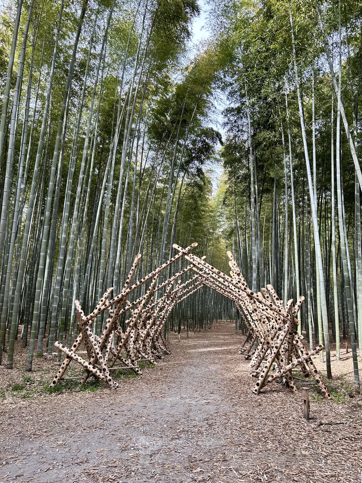夜はライトアップされるので、竹でできたオブジェに無数の穴が空いてます