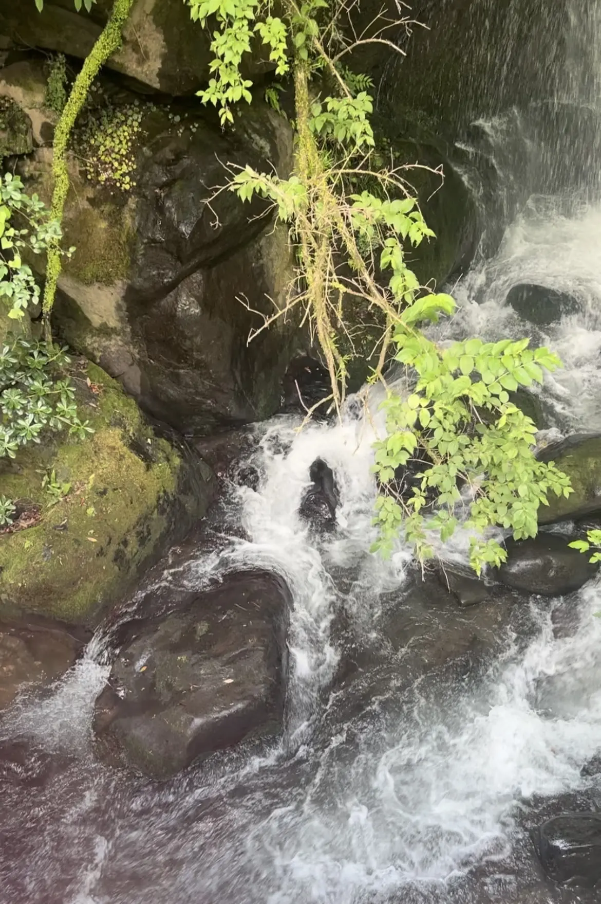 キャップコーデでエスケープ@湯河原惣湯玄の画像_10