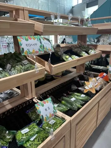 夏休み　湘南初！道の駅「湘南ちがさき」への画像_5