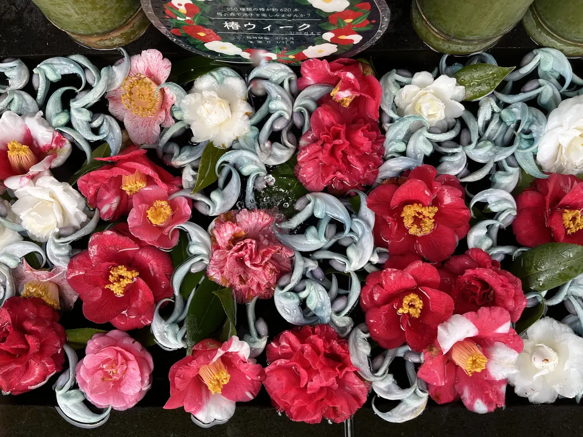 【調布】平日ソロ活♡深大寺へGO！の画像_10