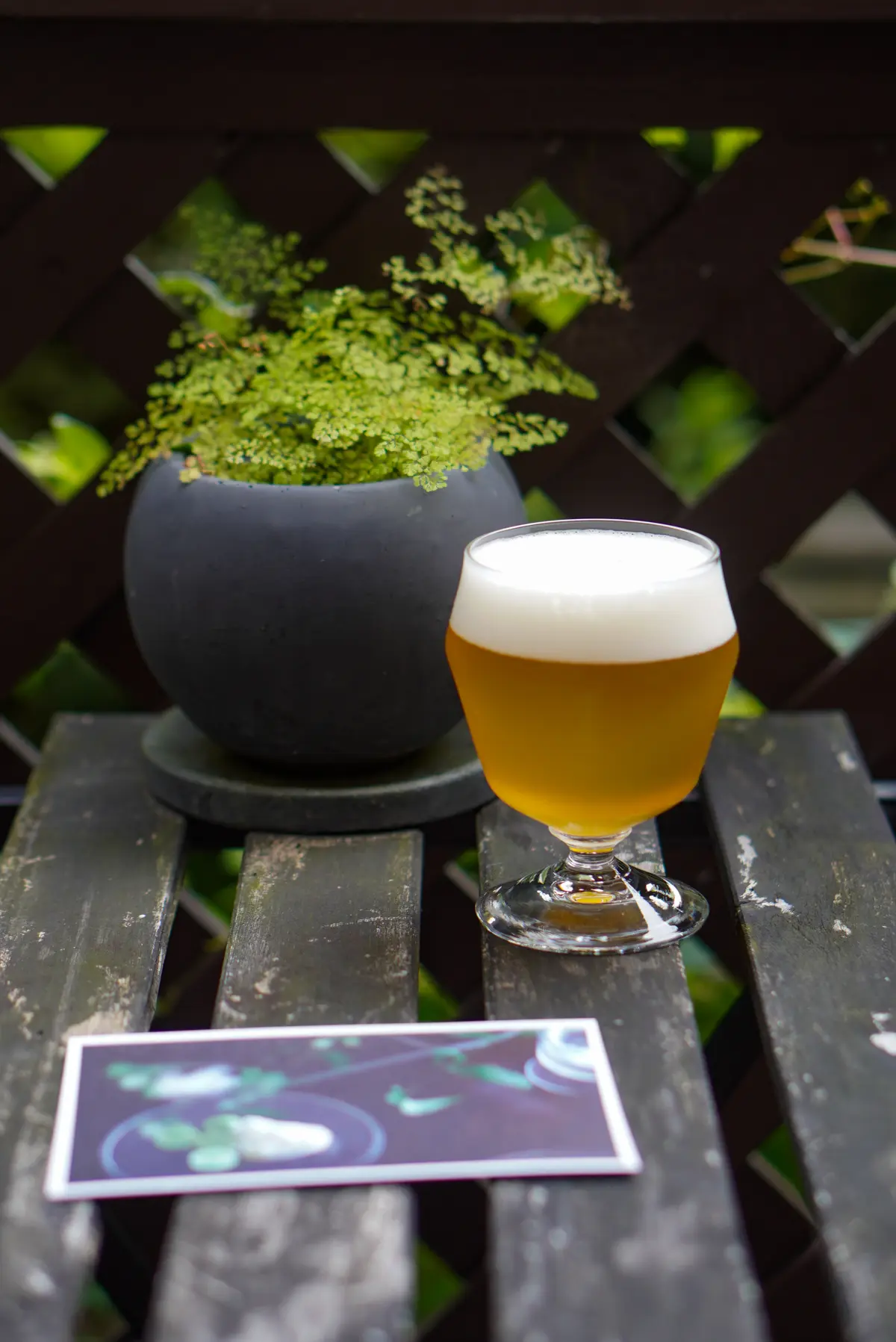 鎌倉佐助エリアで器巡り&冷んやり大人スイの画像_9