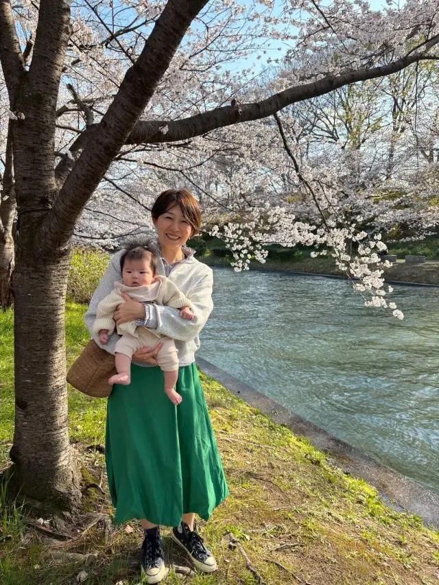 春の伏見で、桜とやさしい時間をの画像_4