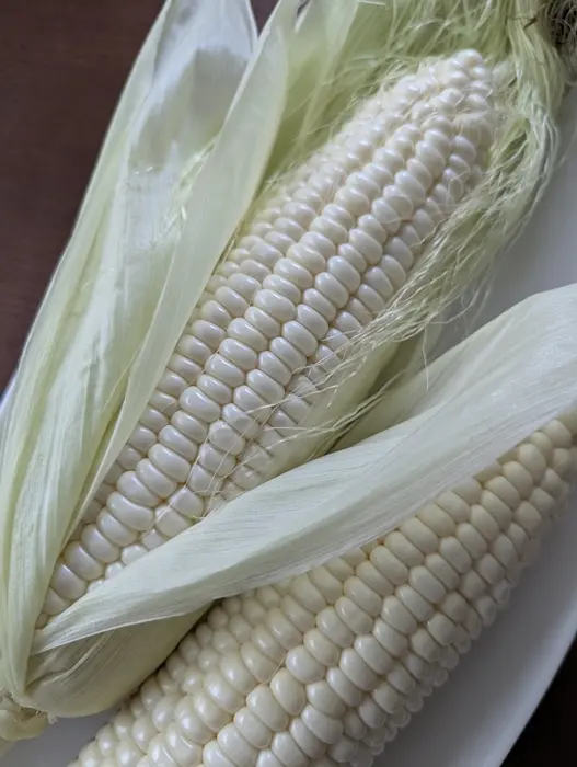 ロイシーコーン