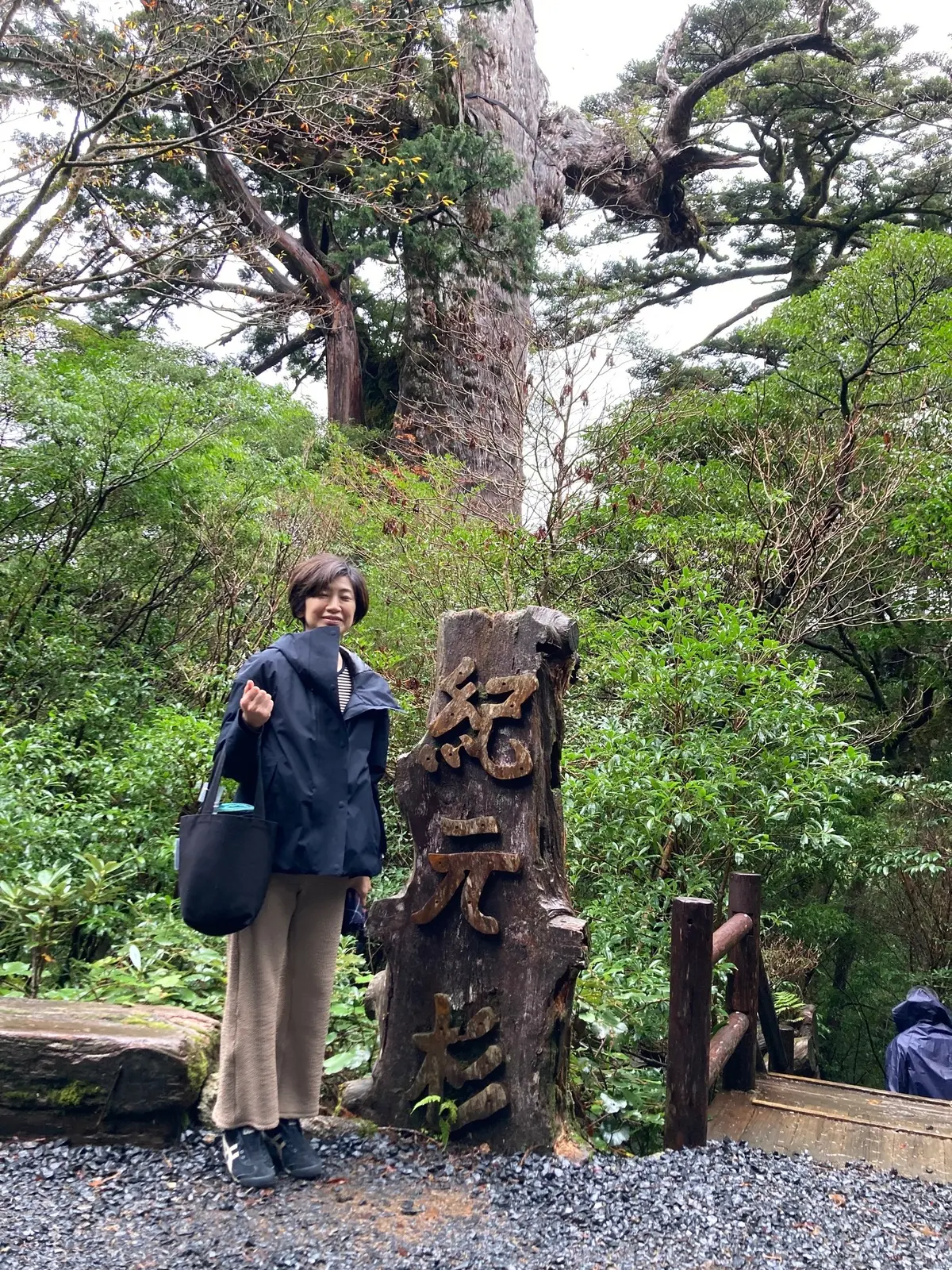 鹿児島県  屋久島　CandleHere エクラ  eclat Jマダム　marigat マリガト　屋久杉　紀元杉