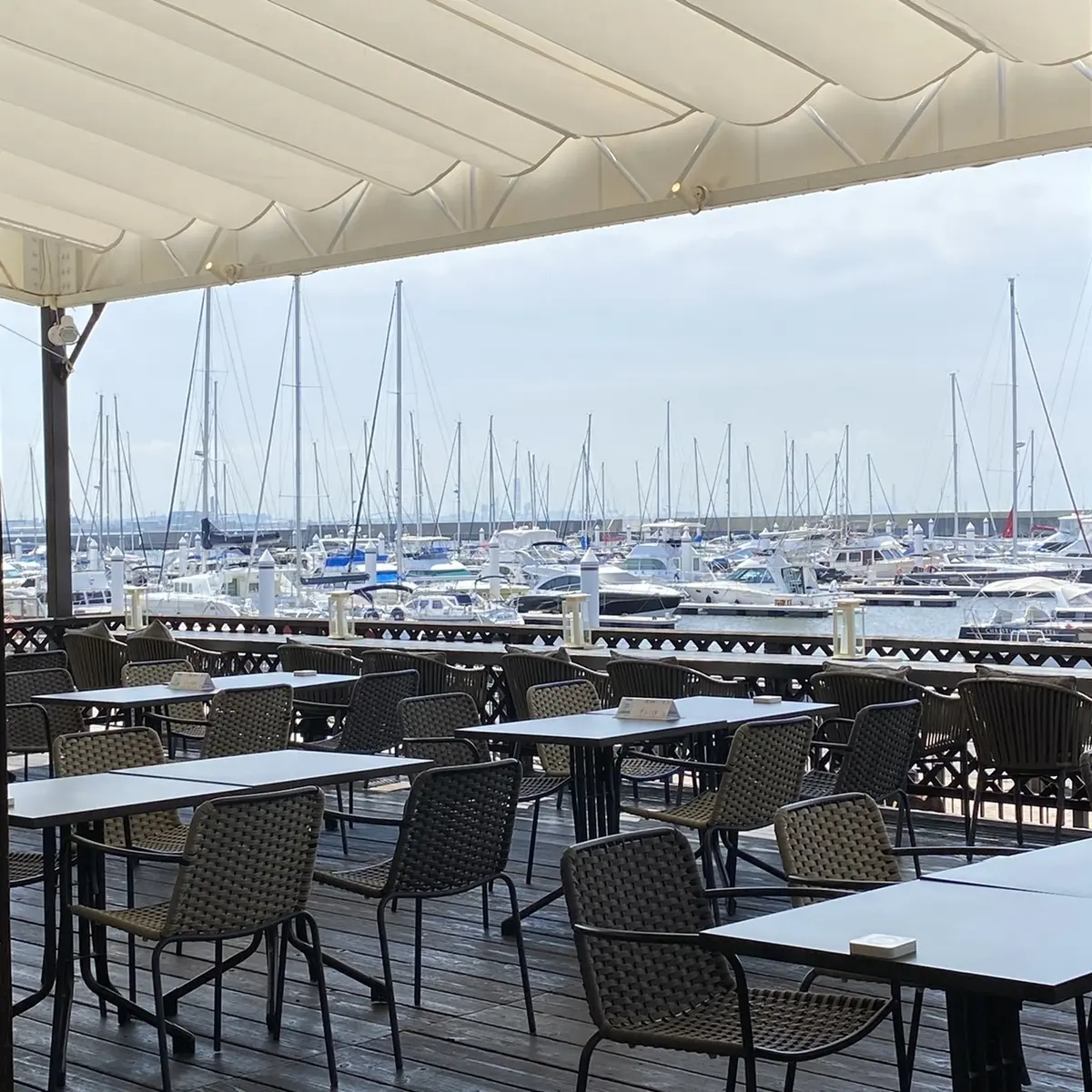 初めての海の味の画像_3