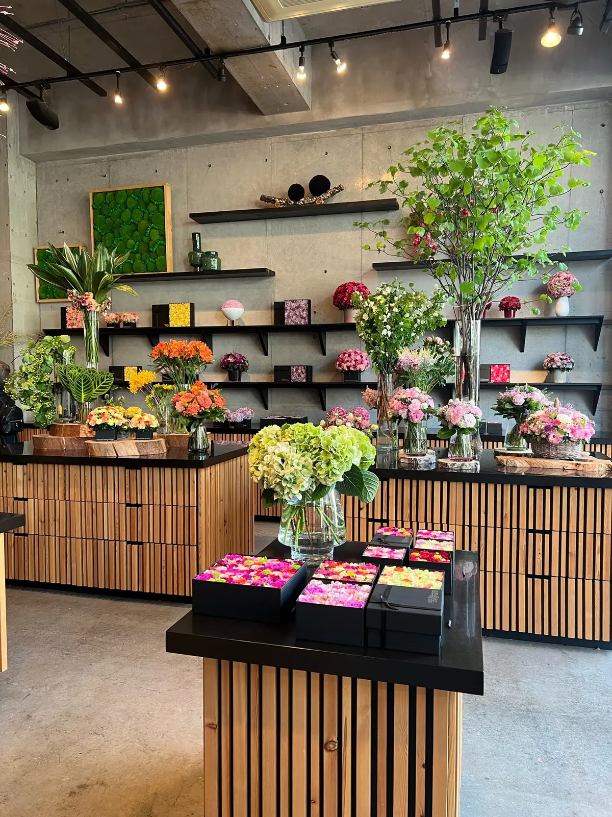 花に包まれた花ハシゴした1日の画像_16