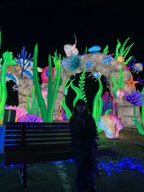 ドイツ村のウィンターイルミネーション素敵の画像_6