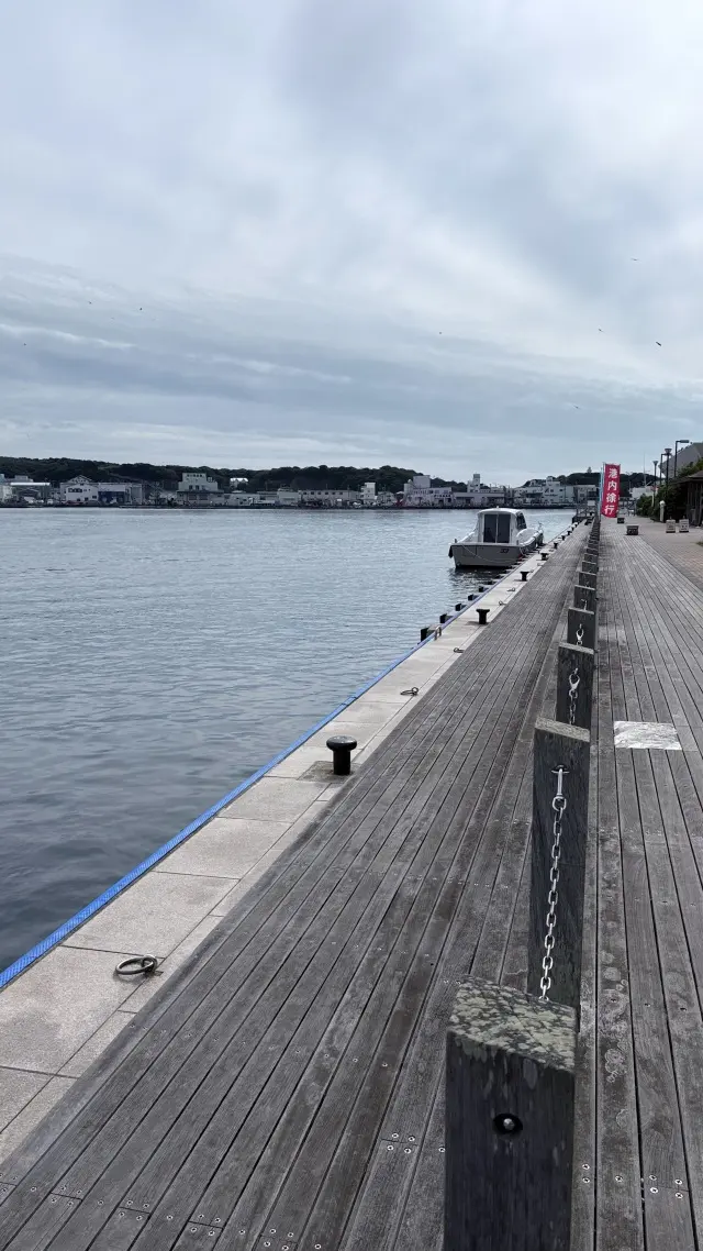 三浦市　三浦口　三浦港　神奈川県三浦市　海