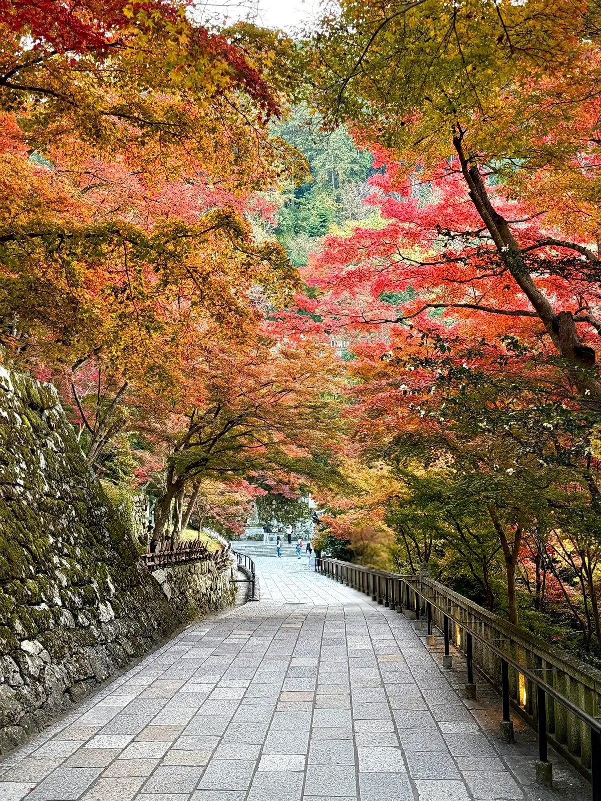 【大人の京都】寺院仏閣とお気に入りの秋のの画像_17