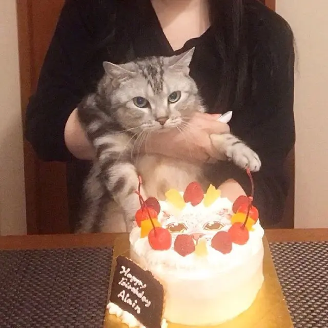 アラン、6歳になりました！