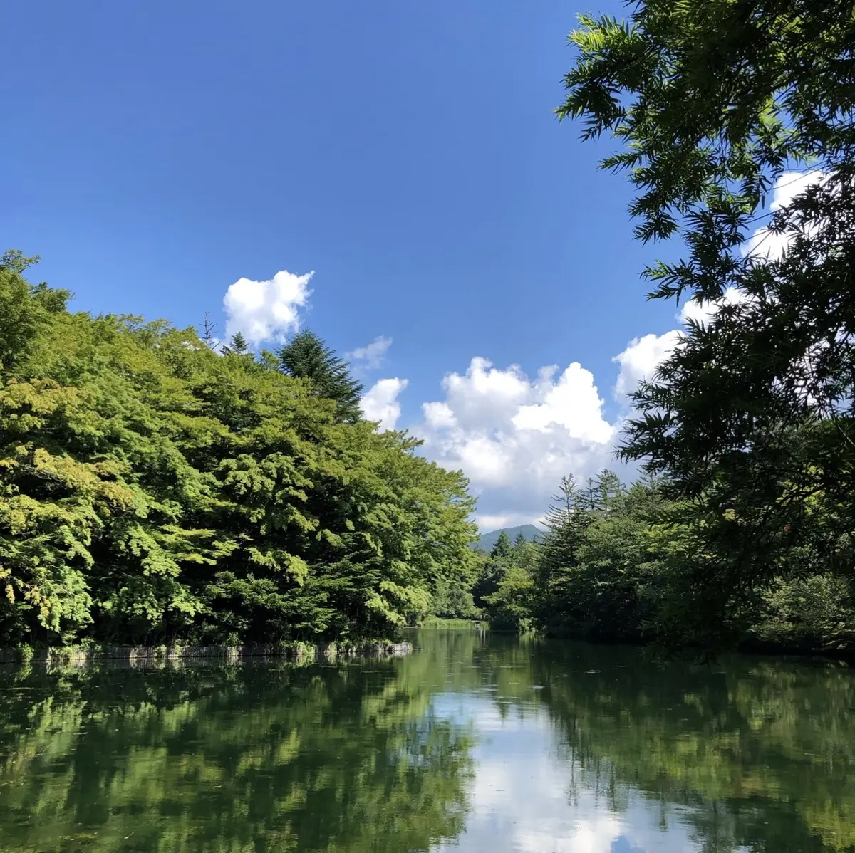 エクラ9月号付録のビッグトート！3パターの画像_6