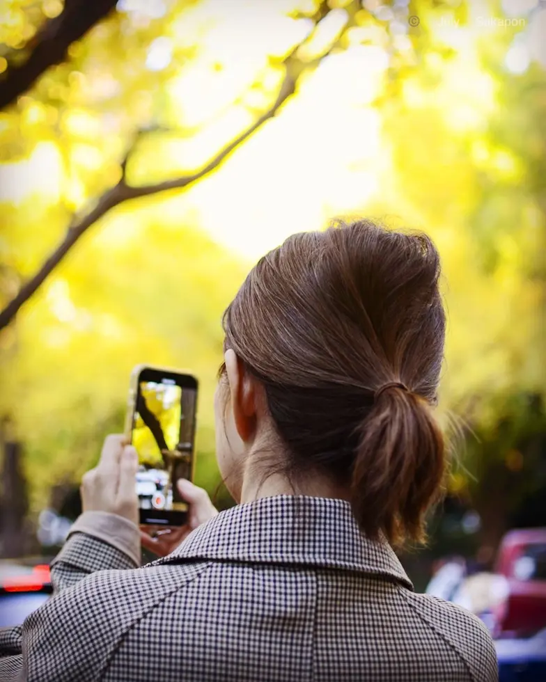 【東京紅葉情報】神宮外苑の銀杏並木11.の画像_3