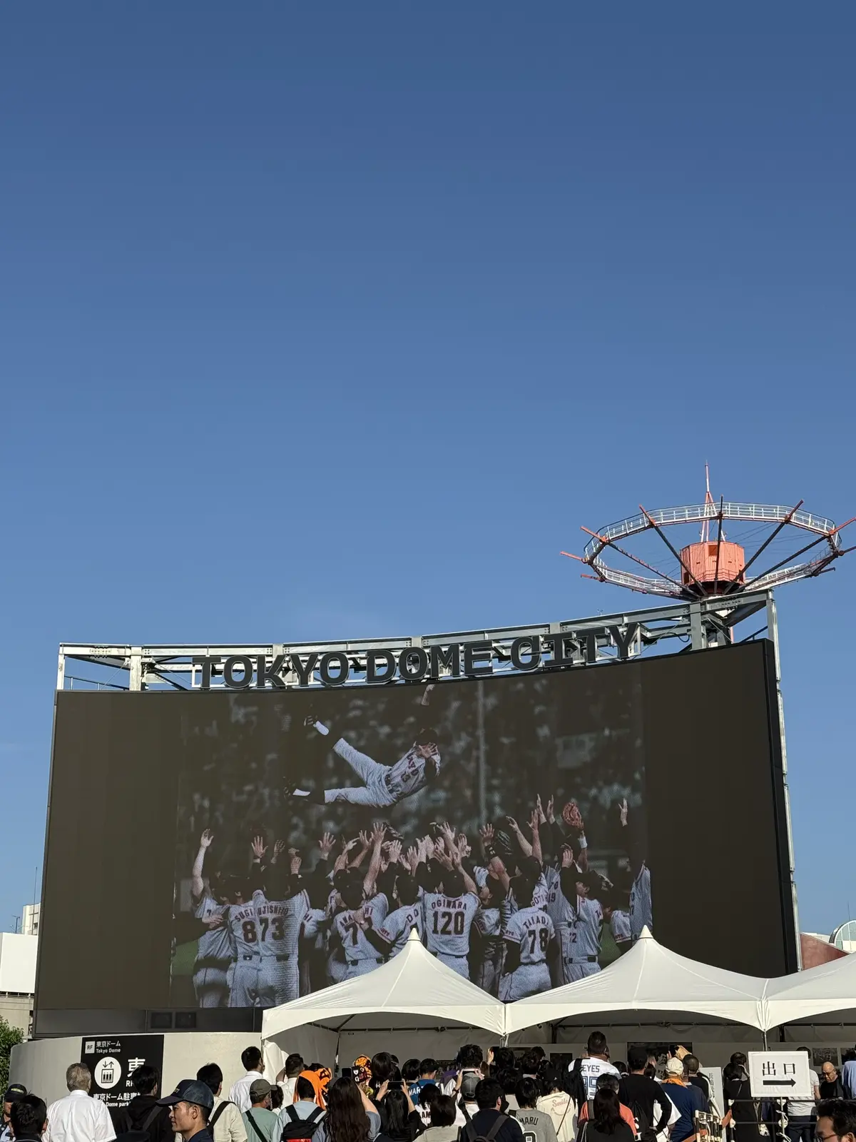 東京ドームで臨場感溢れる野球観戦！の画像_7
