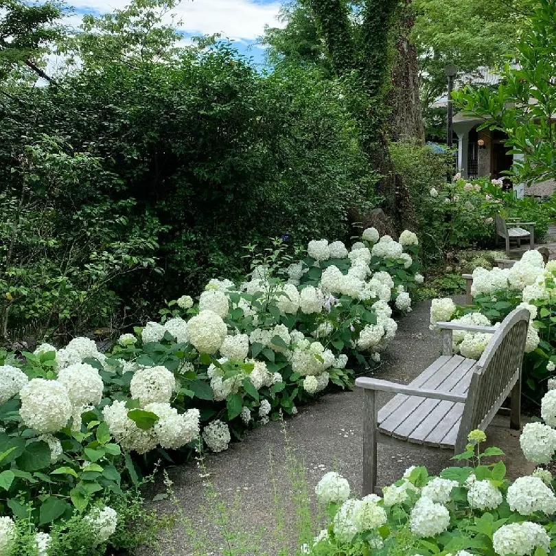 石窯ガーデンテラス入口