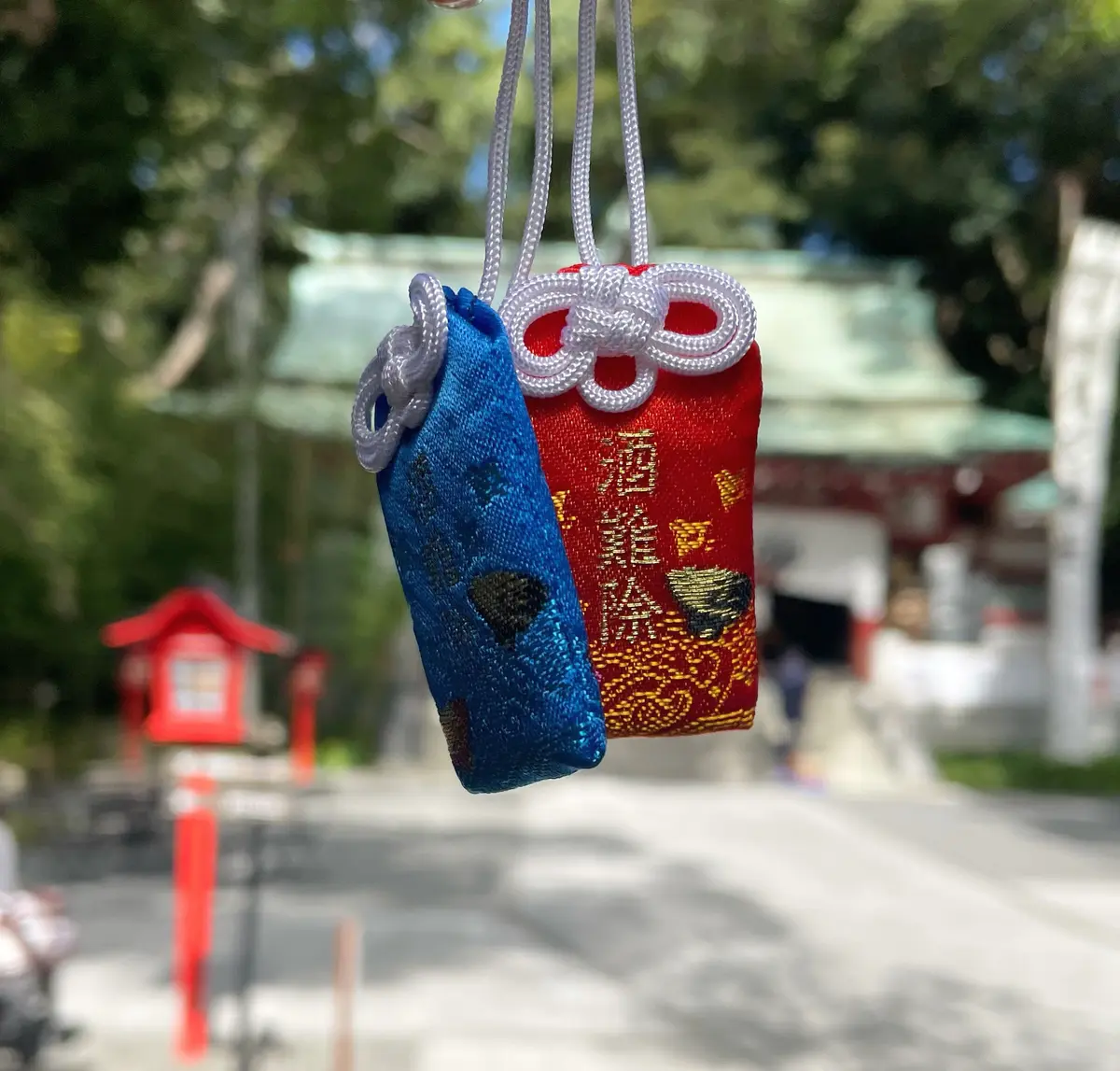 〜国内屈指のパワースポット〜『来宮神社』の画像_2