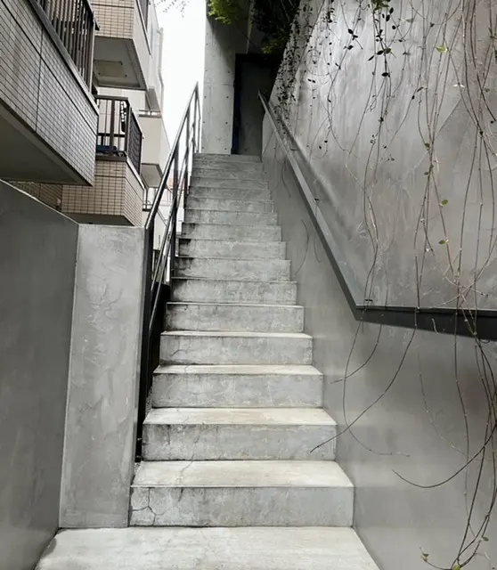 アサコイワヤナギ