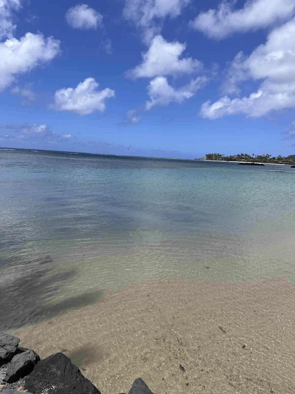 Hawaiiのフレンチレストランの画像_13