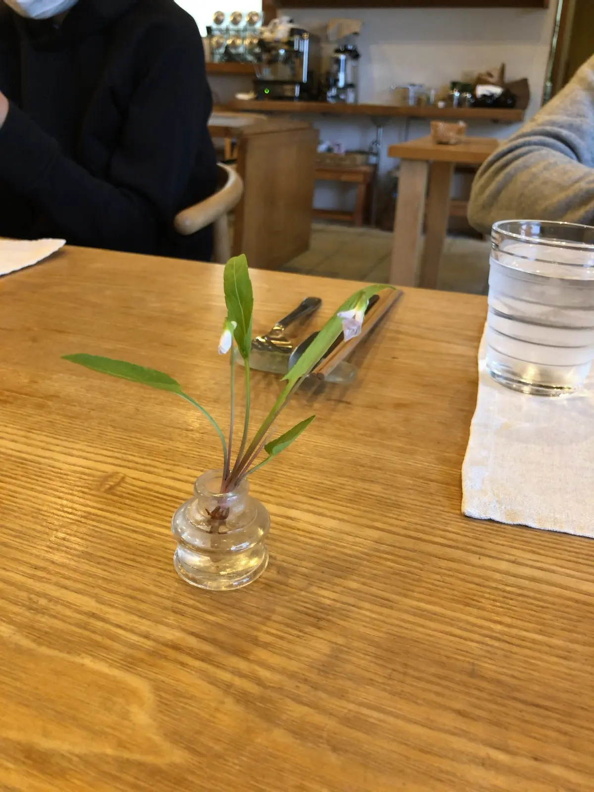 日帰り栃木県の旅【那須編】の画像_12