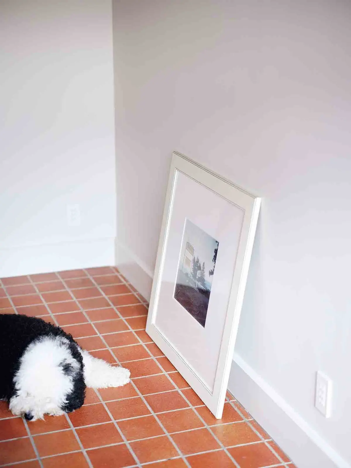 フォトグラファー