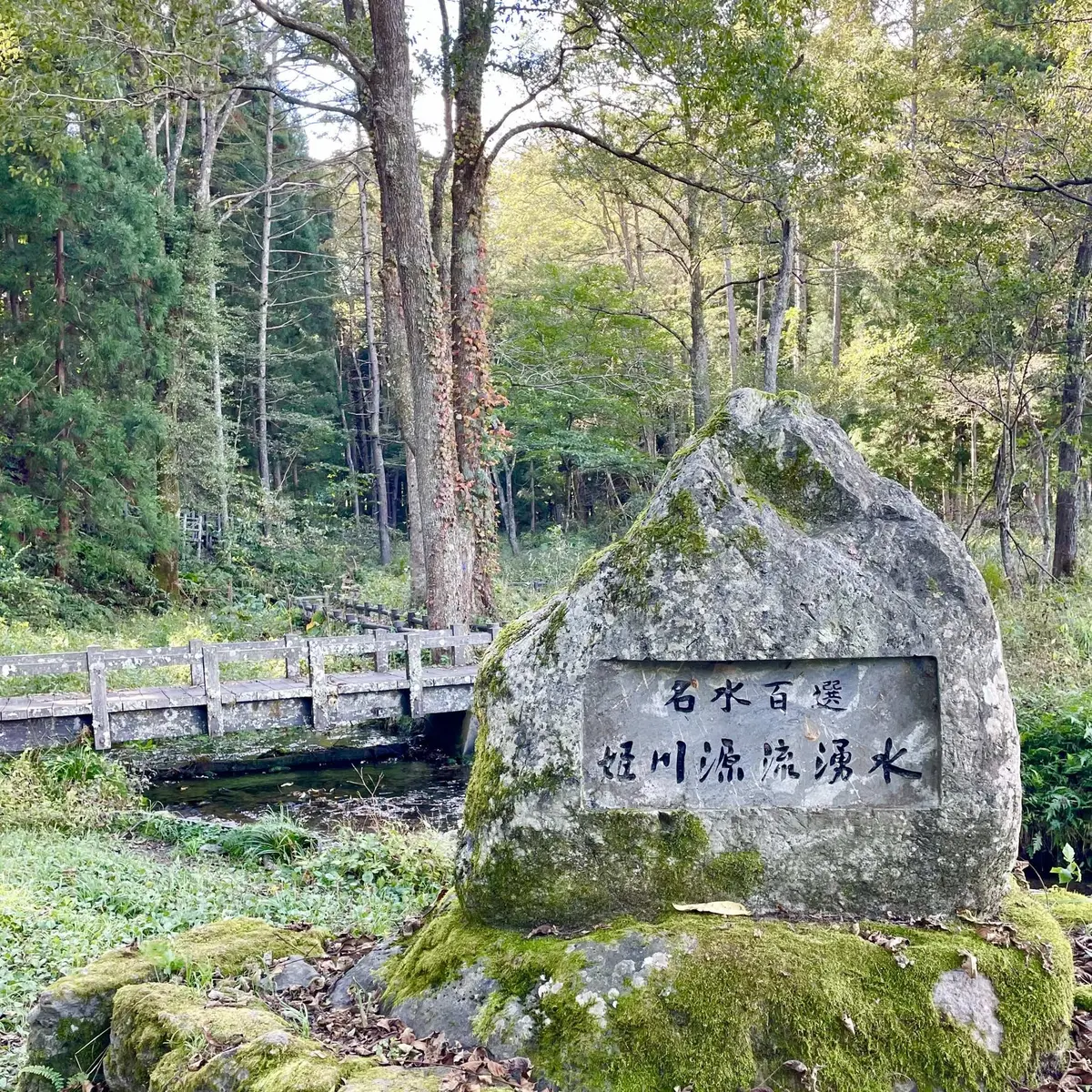 姫川源流自然探勝園の「姫川源流」
