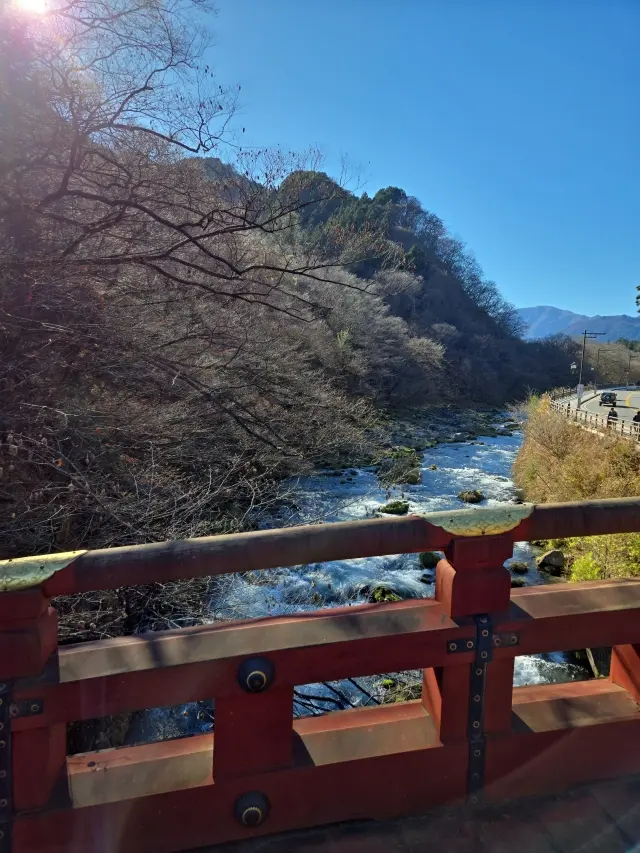 晩秋の日光・宇都宮旅 前編 世界遺産めぐの画像_20