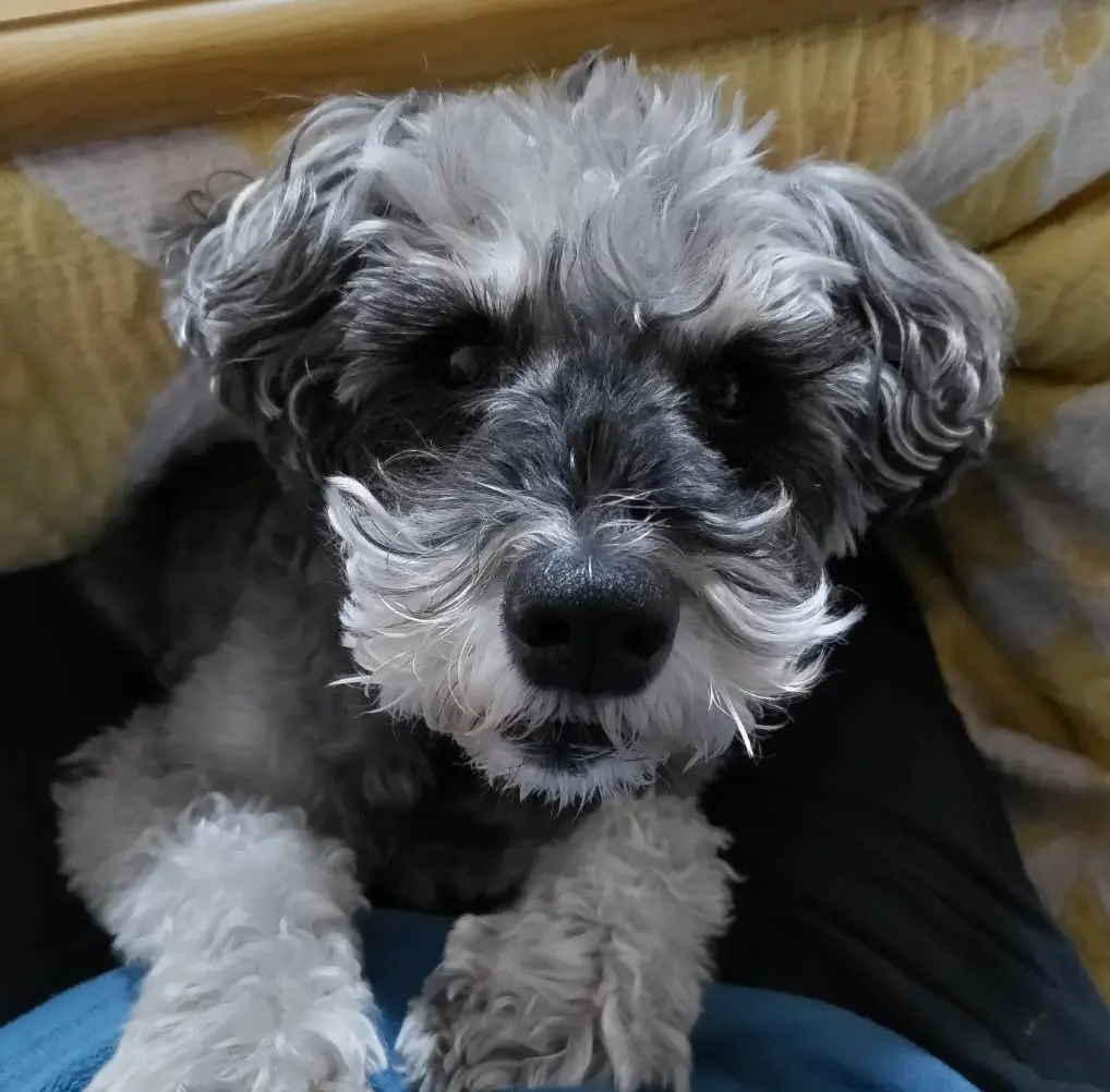 足の冷え対策の画像_2