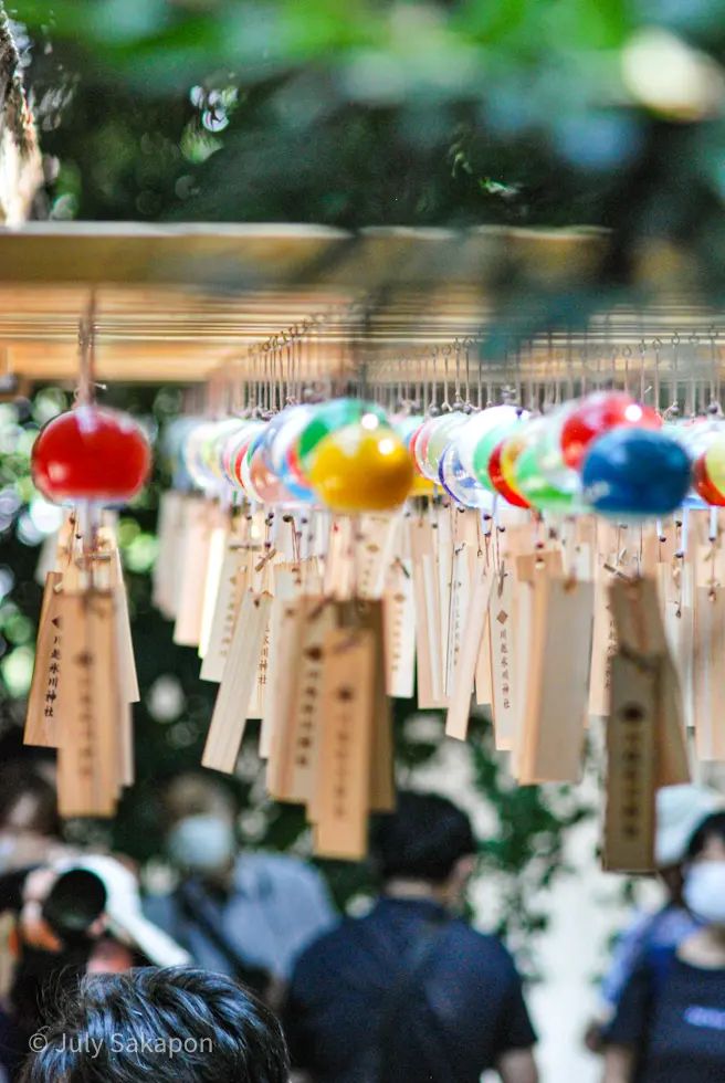 【さかぽんの冒険】風鈴の音と風に癒されての画像_1