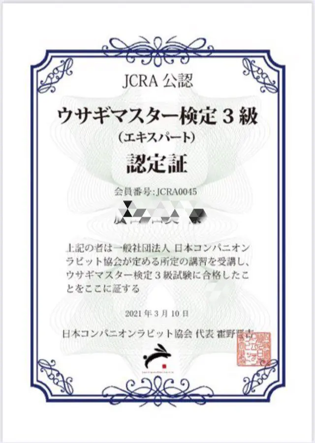 うさぎ　ネザーランドドワーフ　ブラックシルバーマーチン　おうち時間　ラビットラン　ラビットラン代官山　jマダム ペット　アニマルセラピー　ウサギマスター検定