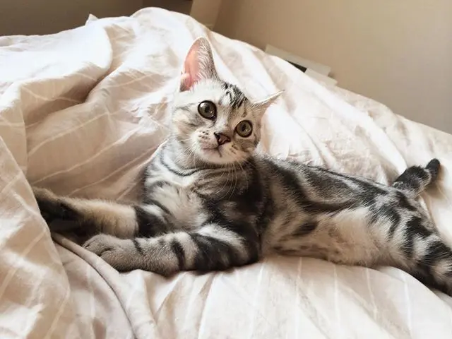 ベビーアランはひと休み中