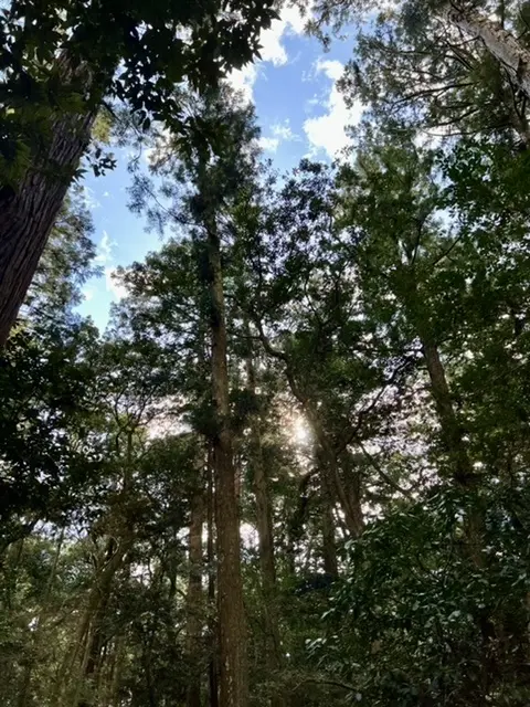 関東屈指のパワースポットへ♪異素材で『上の画像_4