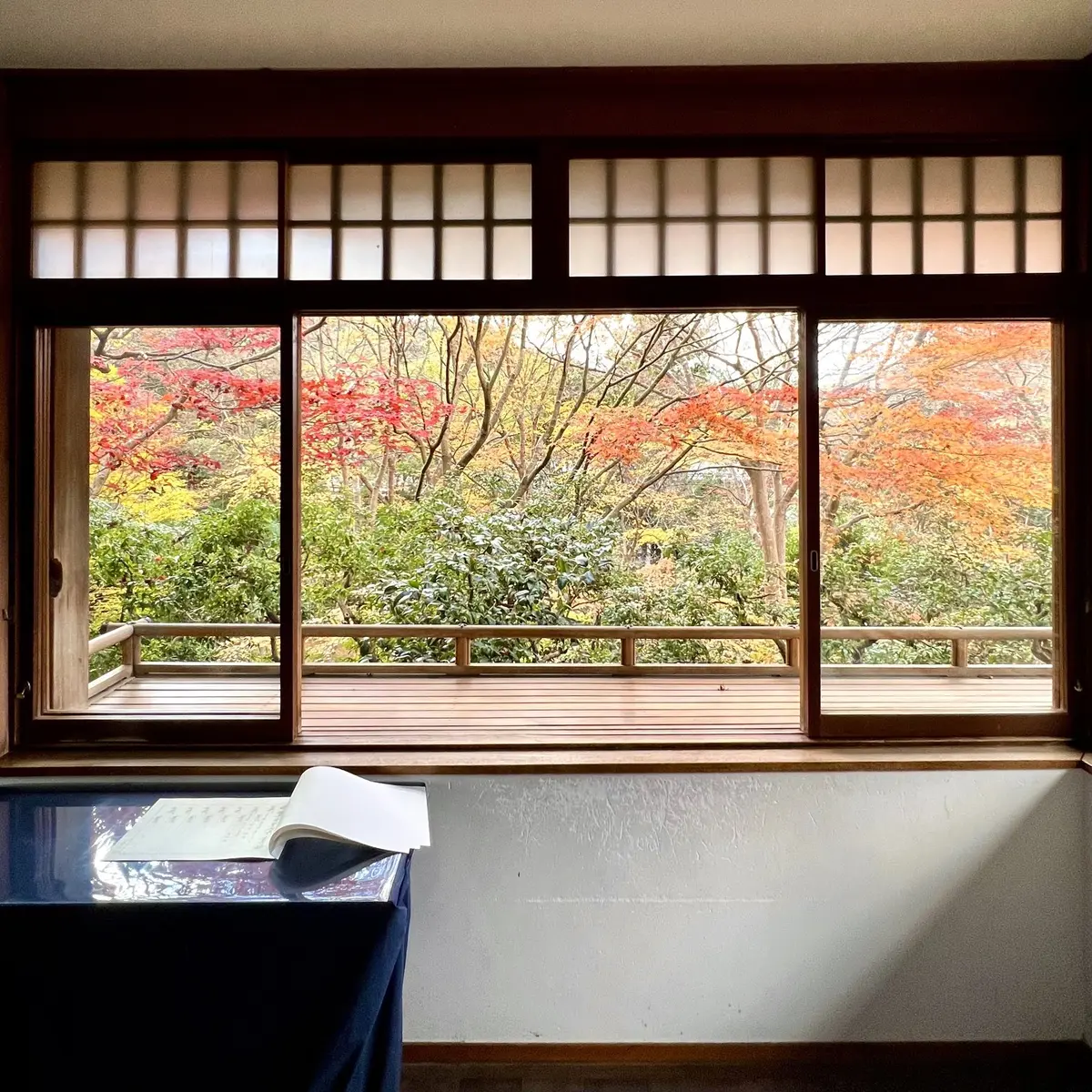 秋の景色を楽しむ♡京都の紅葉の画像_15