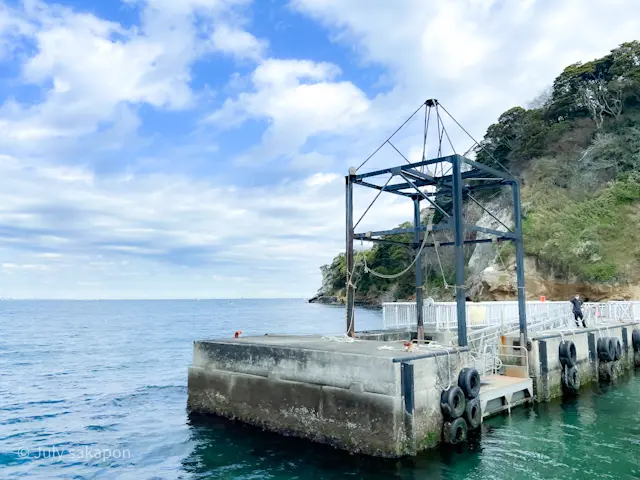 【さかぽんの冒険】前編☆無人島で奇跡のラの画像_8
