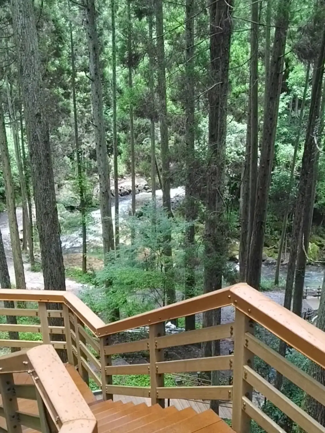 【熊本旅行】阿蘇五岳とカルデラの絶景♡観の画像_10