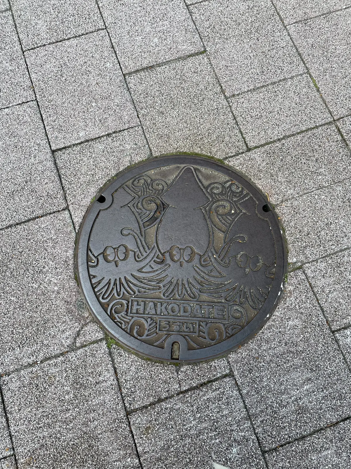 北海道、函館、マンホール、イカ。