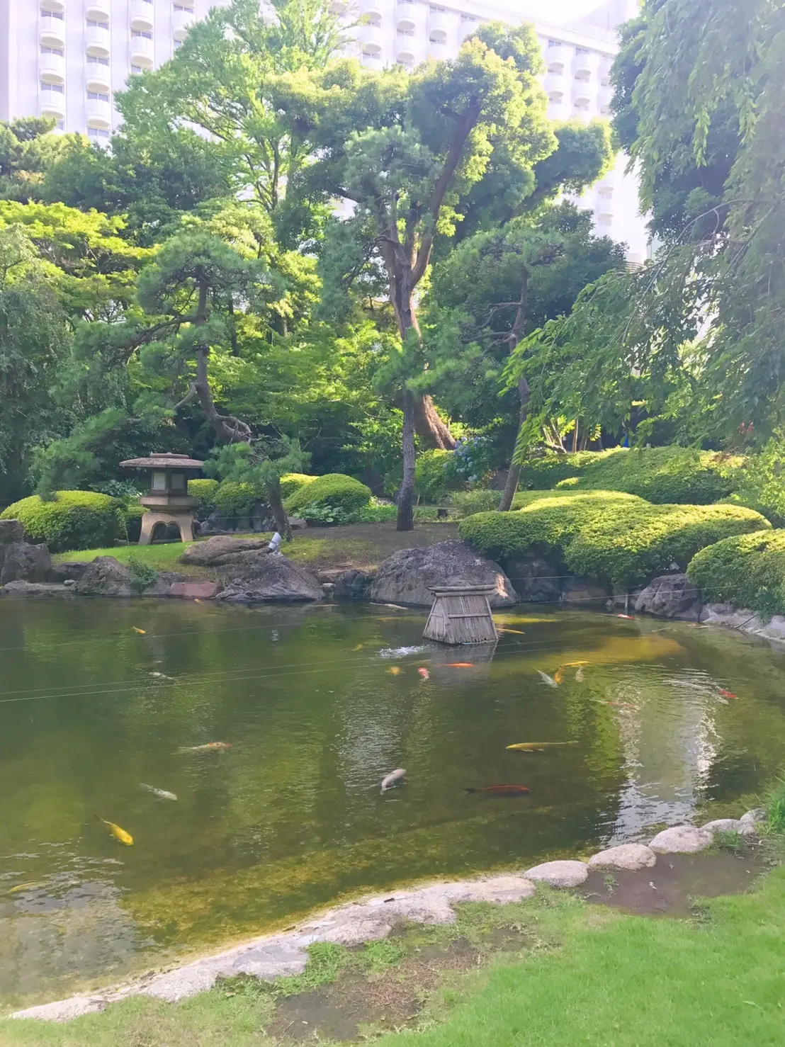 真夏のリネントップスの画像_3