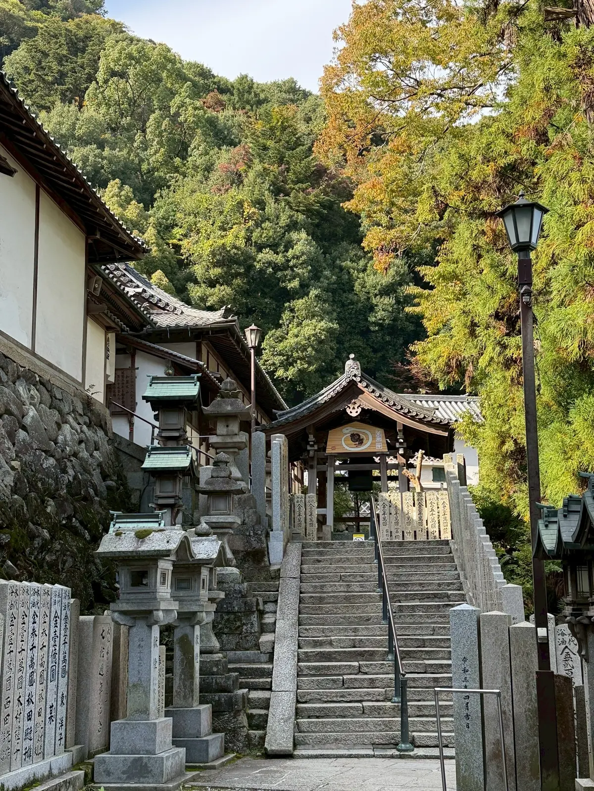 秋を感じる生駒山で山登りの画像_10