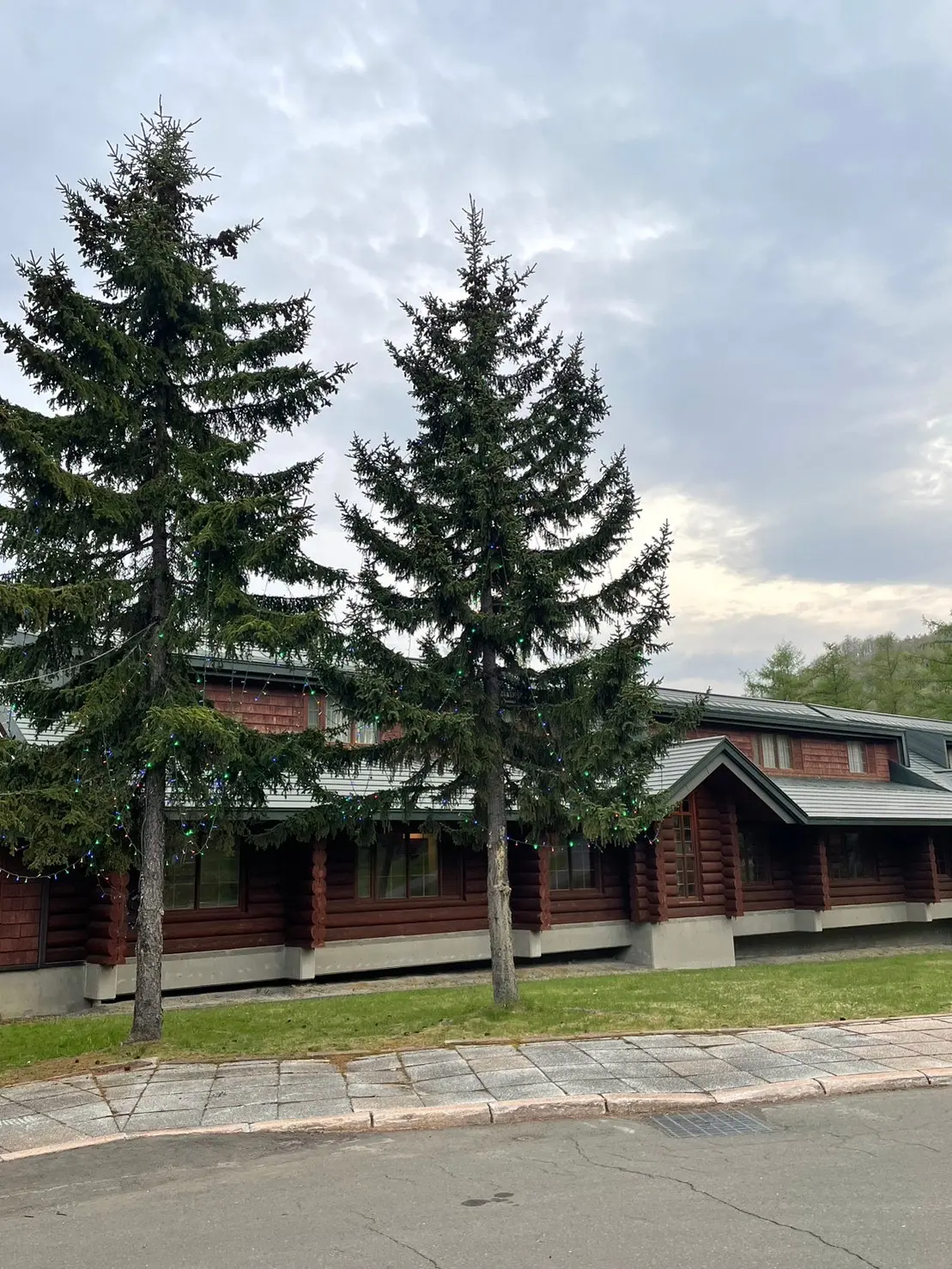 北海道の風土ってワイルドで面白い♪の画像_7