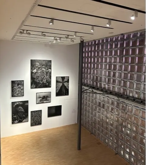 メゾンエルメスにて、アートとエコロジーのの画像_3