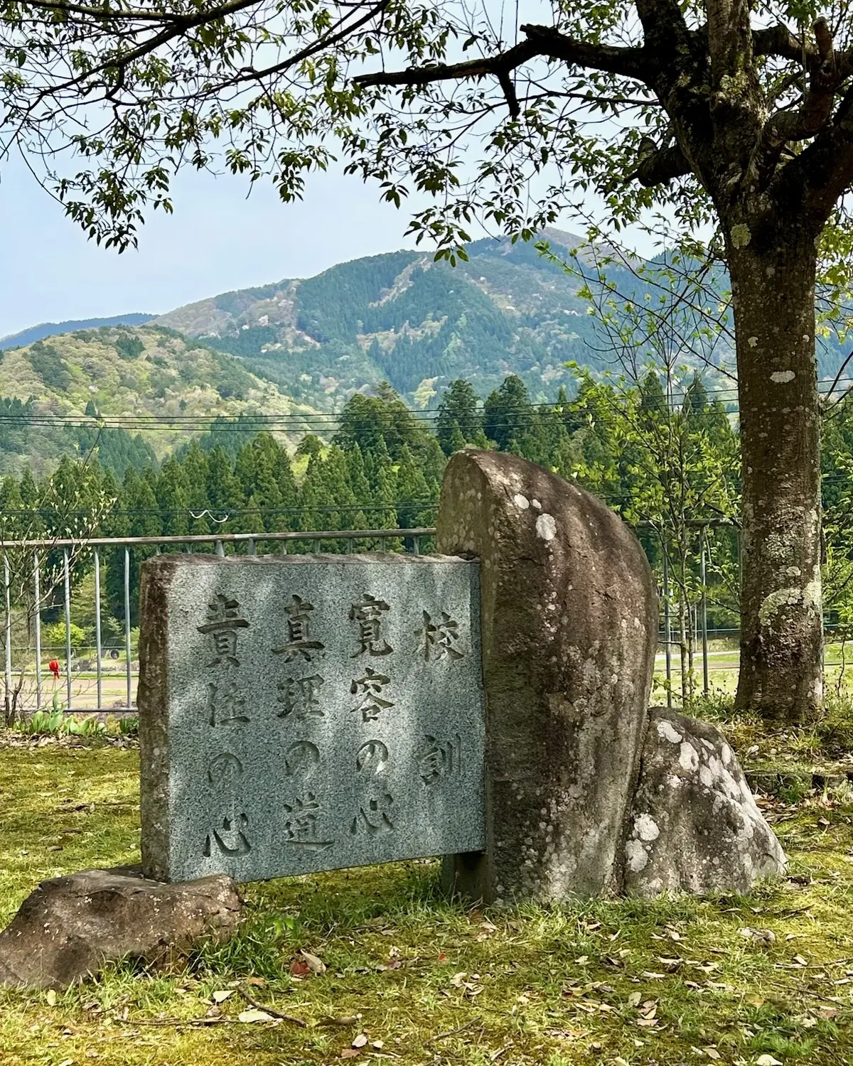 新緑に囲まれたふるさとのベーカリー＆カフの画像_17