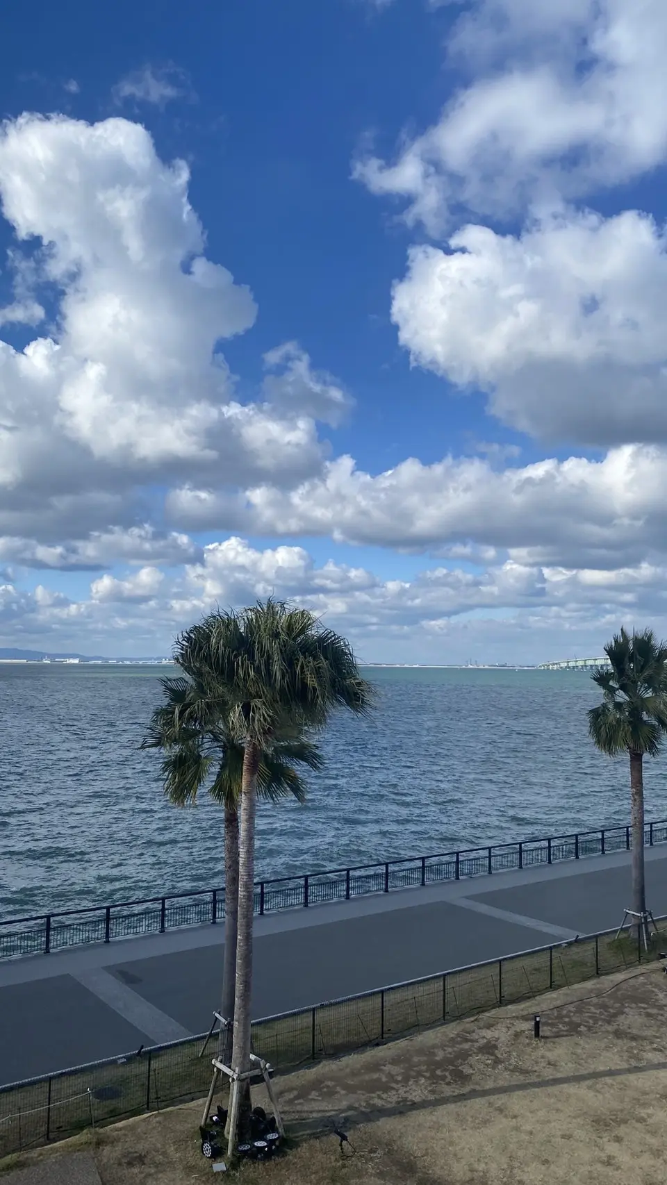 大人の社会見学　の画像_4