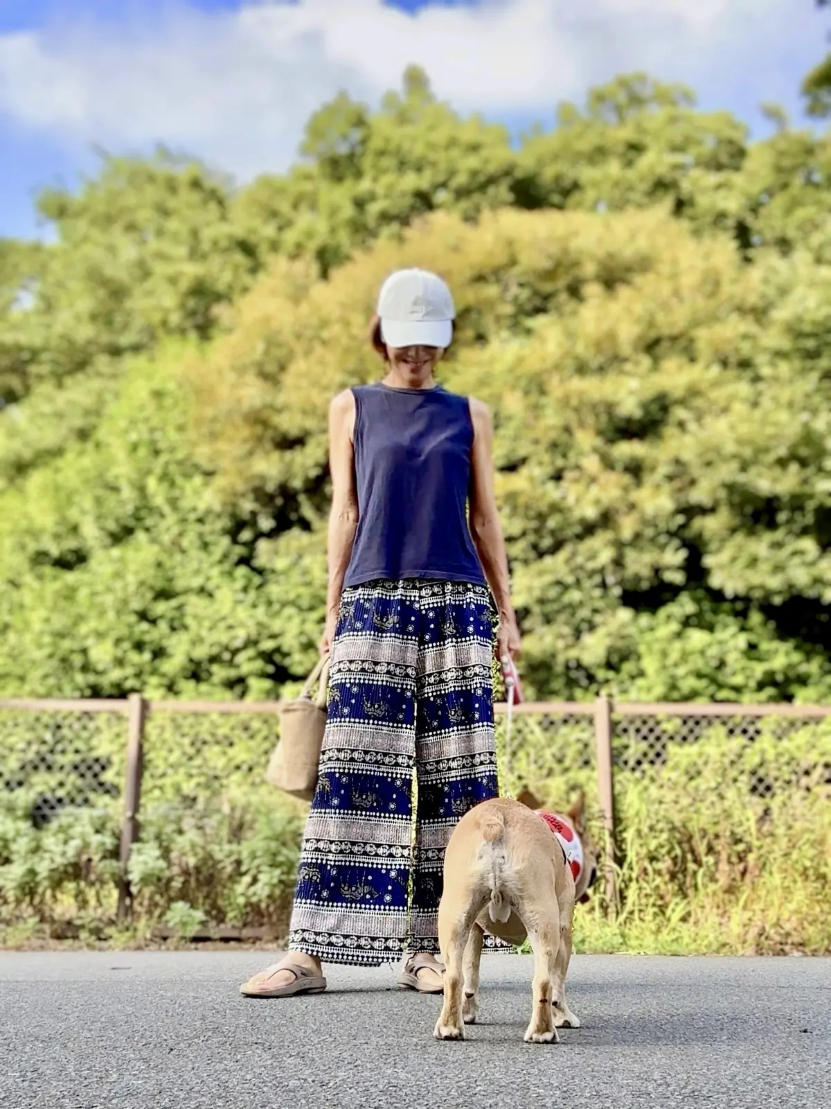 【ユニクロワンピ】でお散歩へ！愛犬と楽しの画像_9