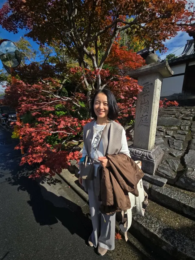 コーディネートで振り返る11月～旅も日常の画像_3