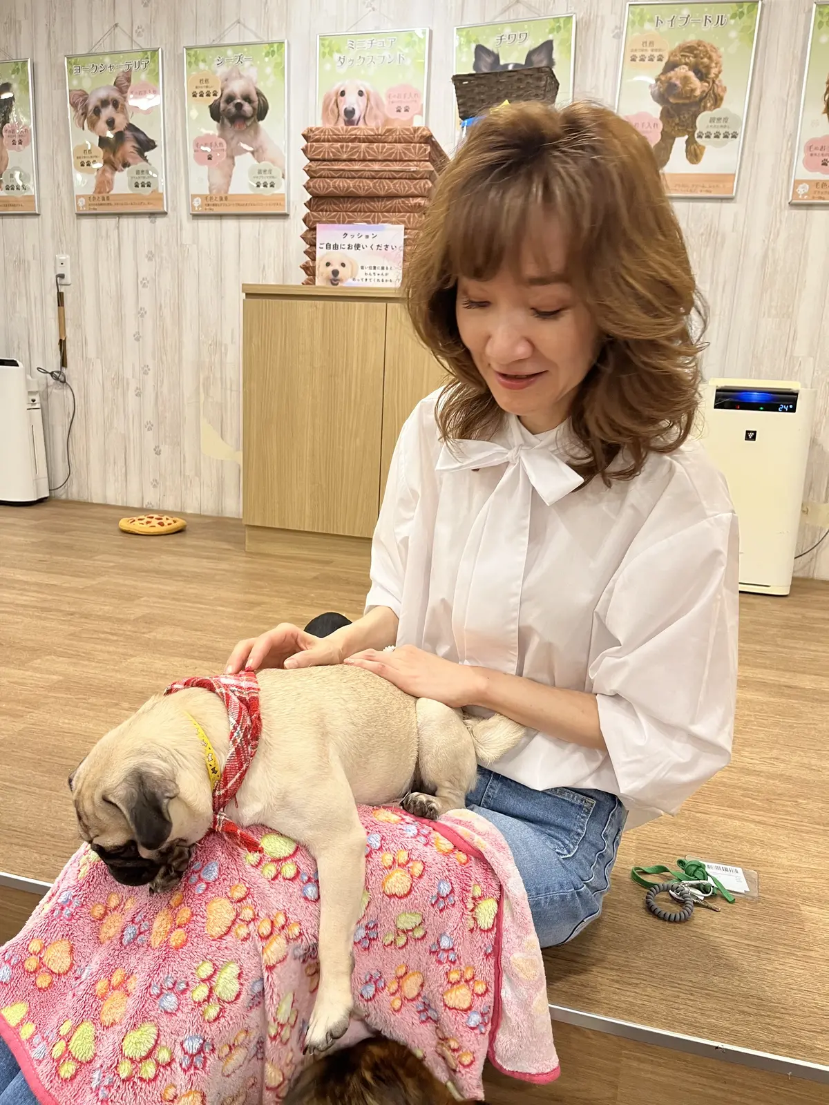 初めての犬カフェへの画像_13