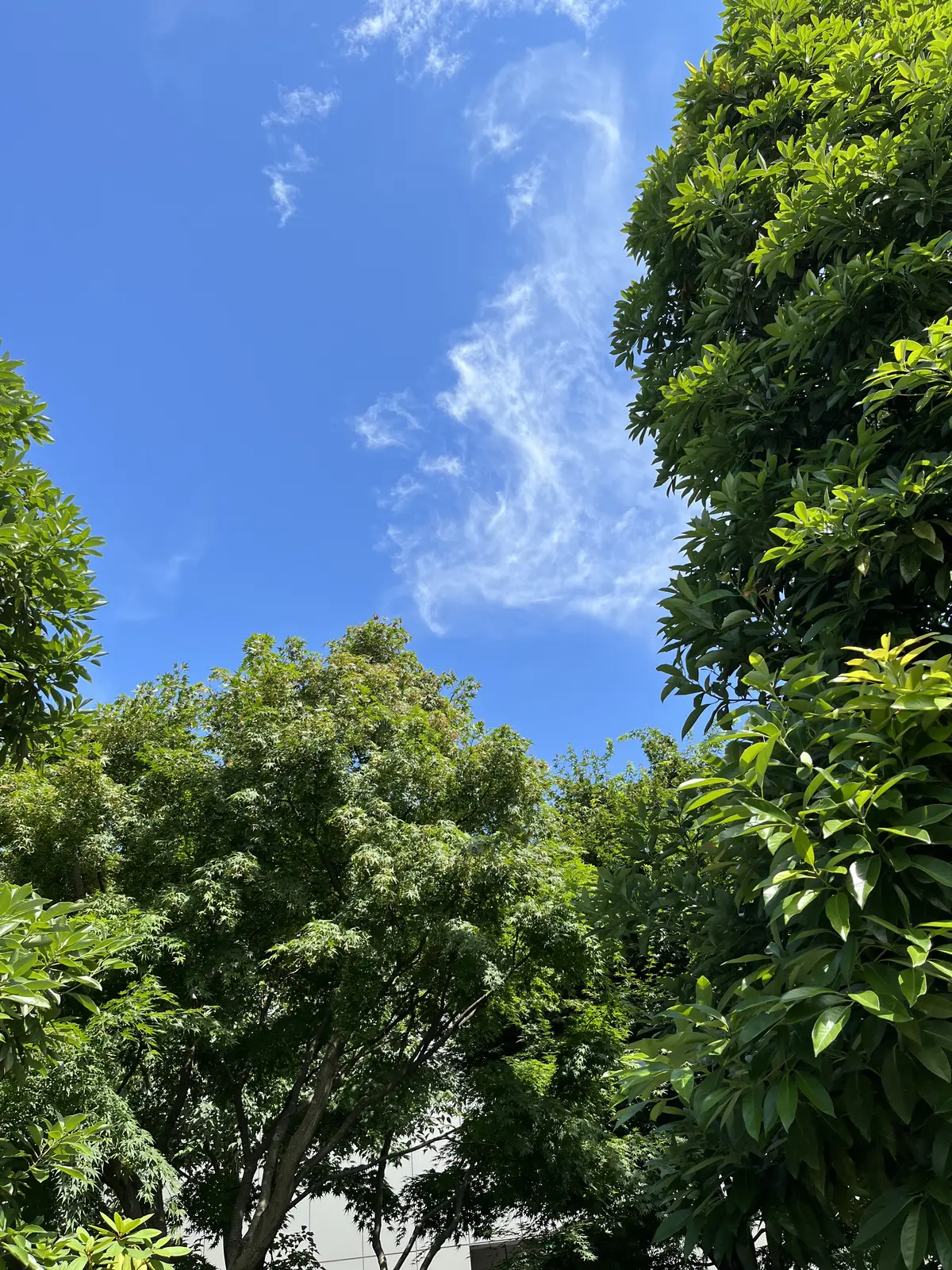 銀座で軽〜く10年ぶりの再会-①の画像_12